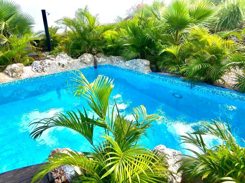 Neue Villa Tropic Paradise Willemstad Eksteriør billede