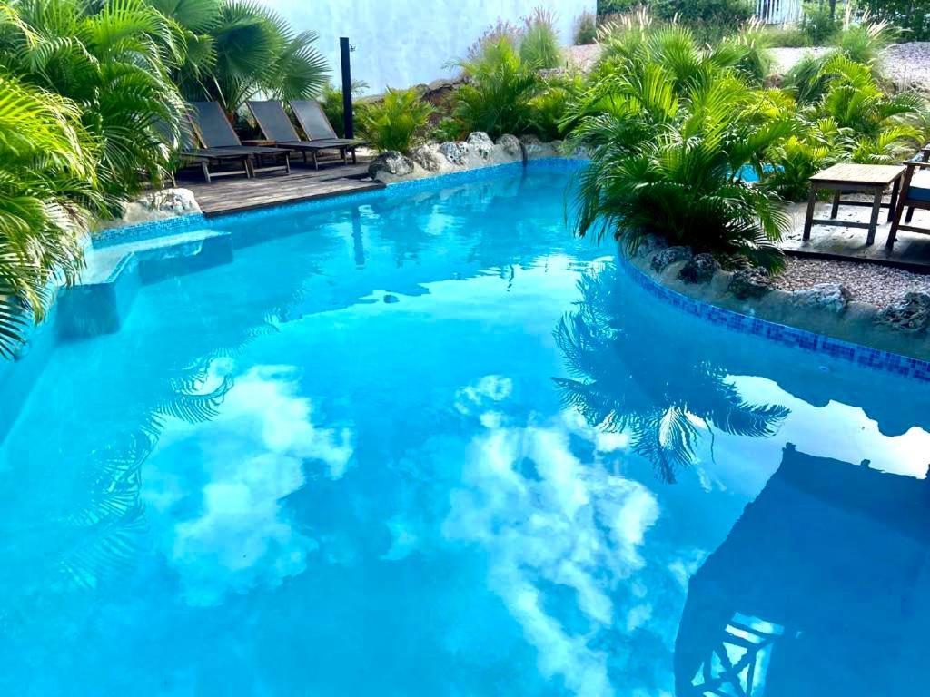 Neue Villa Tropic Paradise Willemstad Eksteriør billede